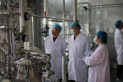 同仁堂興安灤南分公司順利通過保健食品生產許可現場核查，生物制藥研發生產再添新翼